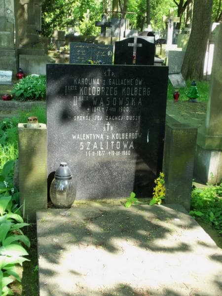 Zdjęcie grobu Karolina Wąsowska (2)