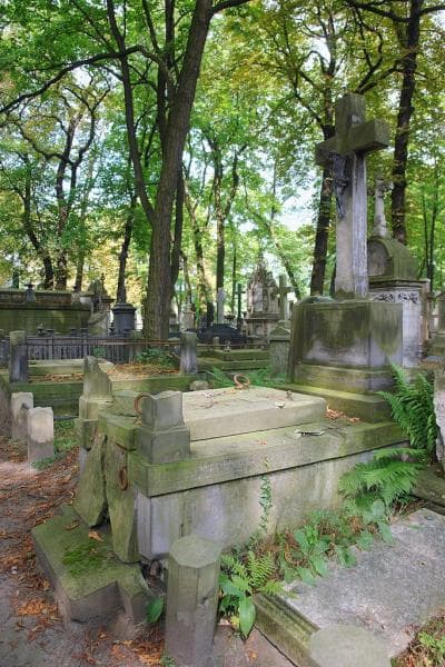 Zdjęcie grobu: Henryk Iwański