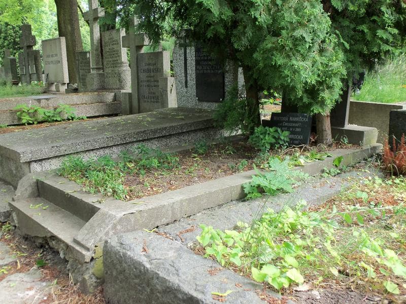 Zdjęcie grobu Zygmunt Nawrocki (1)