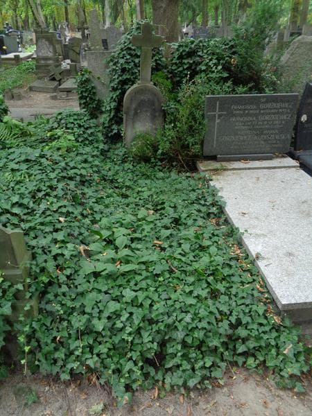 Zdjęcie grobu: Stanisława Kunińska