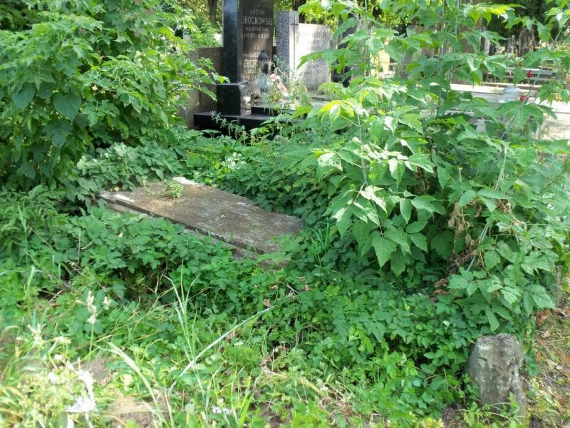 Zdjęcie grobu Wawrzyniec Ruszkiewicz (2)