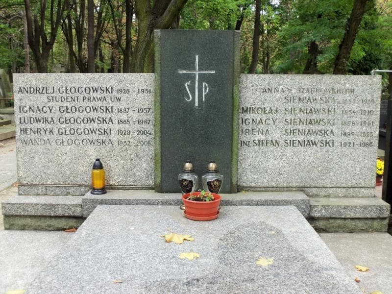 Zdjęcie grobu Henryk Głogowski (2)