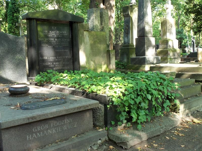 Zdjęcie grobu Halina Marczewska (1)