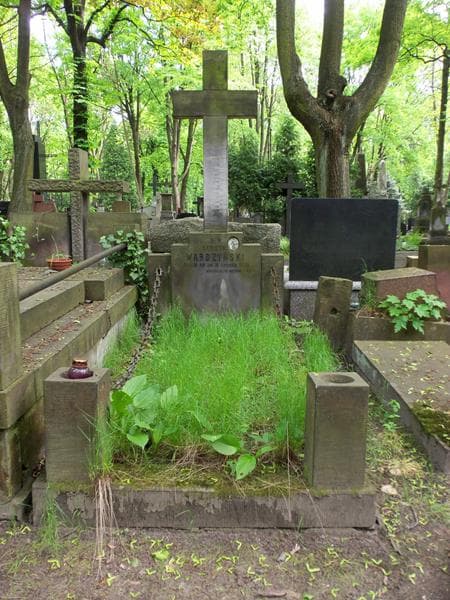 Zdjęcie grobu: Henryk Wardzyński