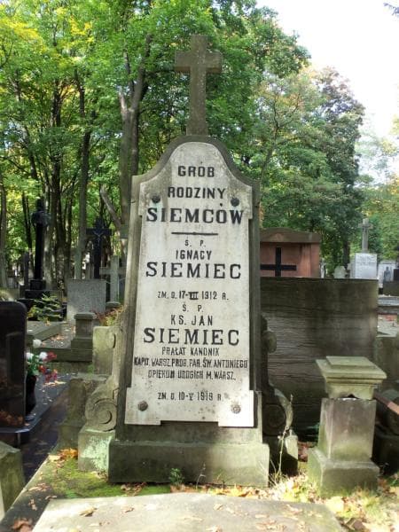 Zdjęcie grobu Ignacy Siemiec (2)