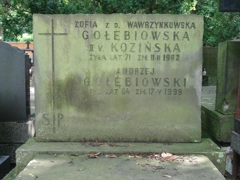 Zdjęcie grobu Zofia Gołębiowska (2)