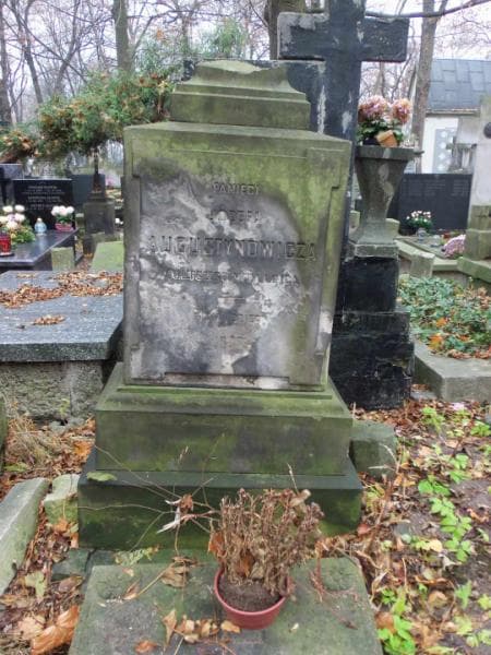 Zdjęcie grobu Józef Augustynowicz (2)