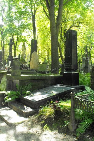 Zdjęcie grobu Józef Maciejewski (1)