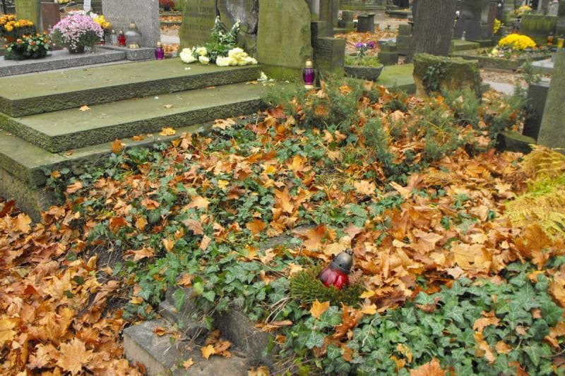 Zdjęcie grobu Pole Grobowe (2)