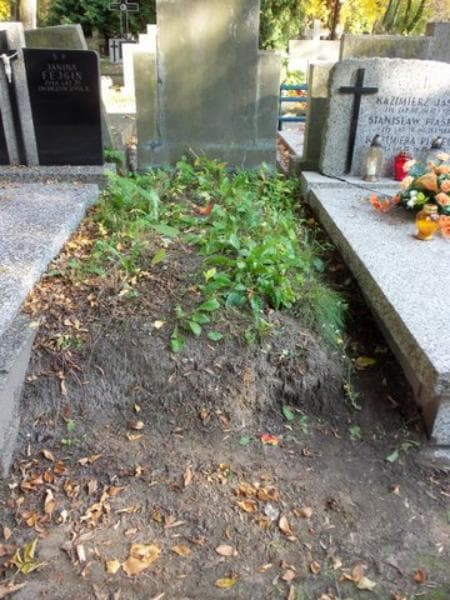 Zdjęcie grobu: Anonim