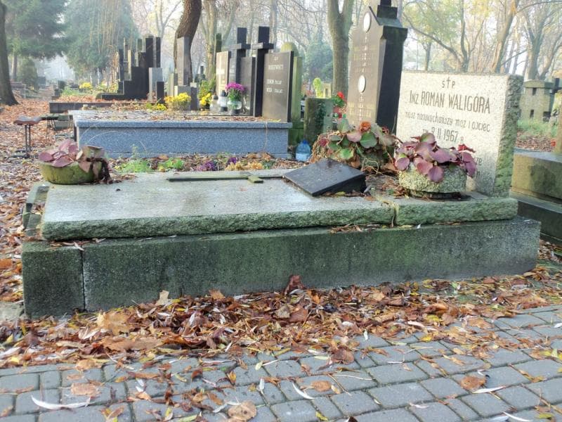 Zdjęcie grobu Zofia Waligóra (1)
