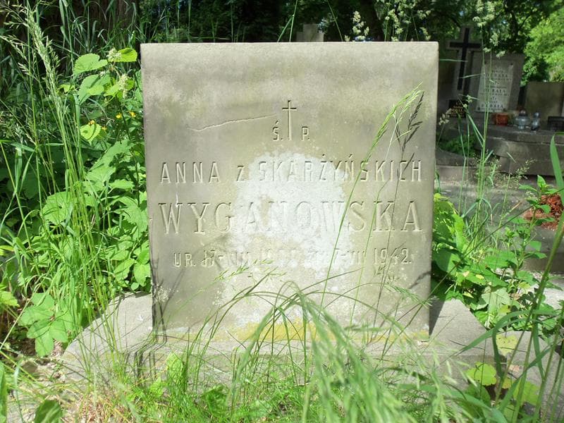 Zdjęcie grobu Anna Wyganowska (2)