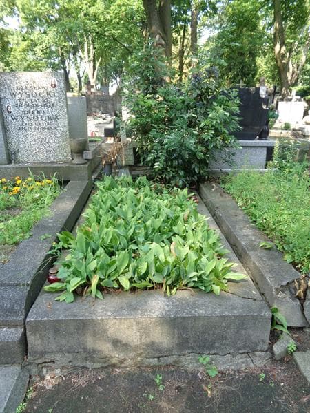 Zdjęcie grobu Zofia Listowska (1)