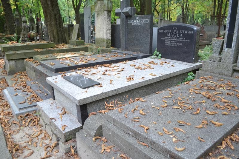 Zdjęcie grobu: Wiesława Janiszewska