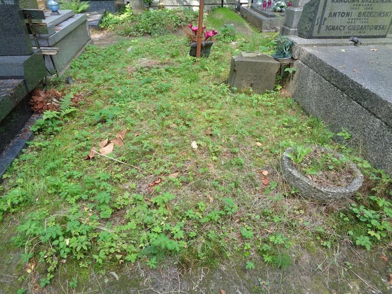 Zdjęcie grobu: Pole Grobowe