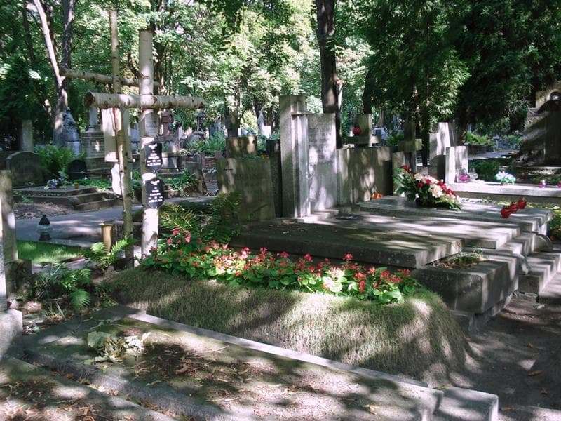Zdjęcie grobu: Juliusz Wiktor Gomulicki