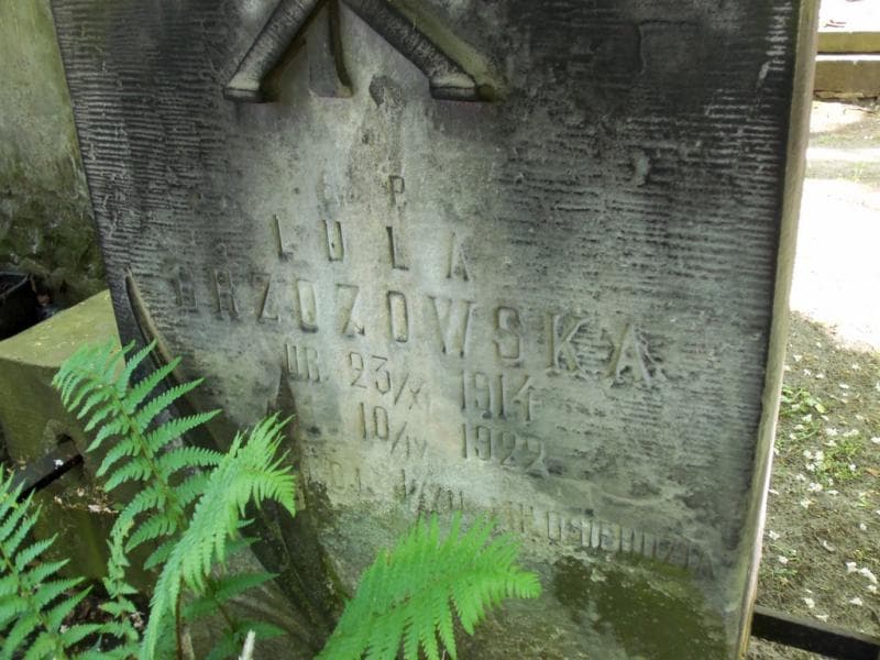 Zdjęcie grobu Lula Brzozowska (2)