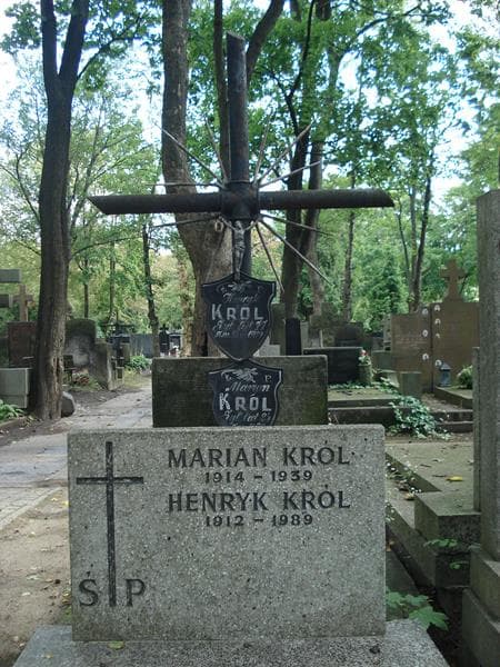 Zdjęcie grobu Henryk Król (2)