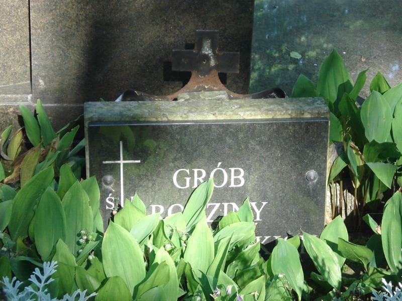 Zdjęcie grobu Edmund Taraszewski (2)