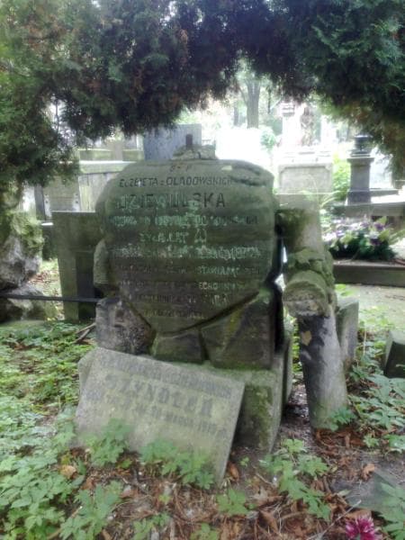 Zdjęcie grobu Elżbieta Dziewulska (1)