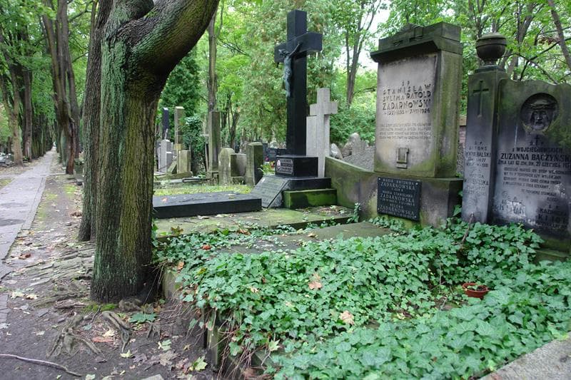 Zdjęcie grobu: Helena Zadarnowska