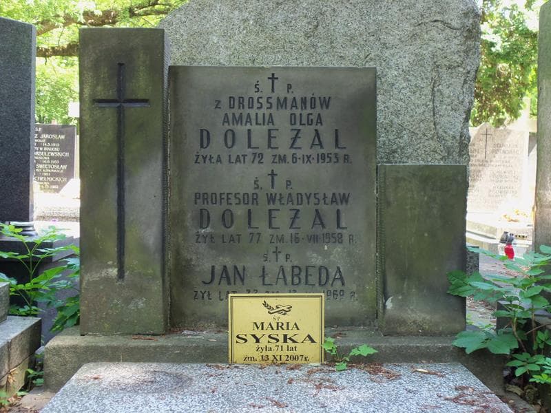 Zdjęcie grobu Władysław Doleżal (2)
