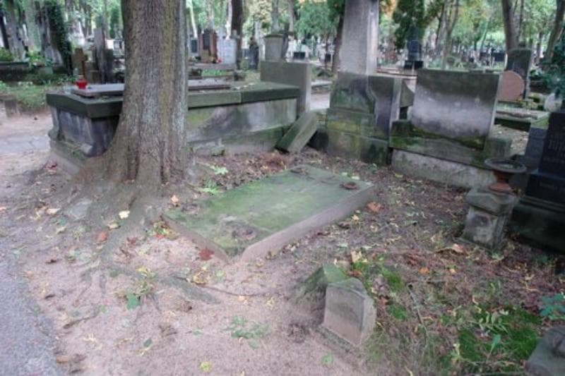 Zdjęcie grobu Tytus Słomiński (1)