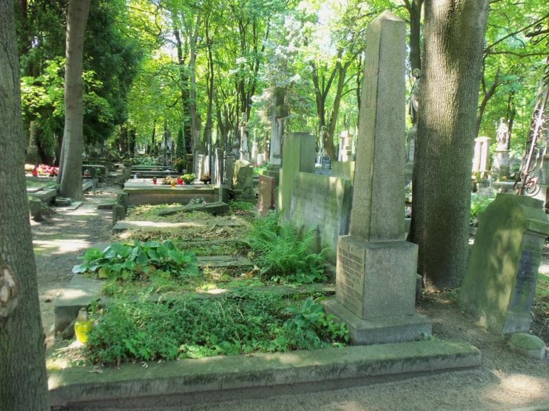 Zdjęcie grobu Irenka Iwaszkiewiczówna (1)
