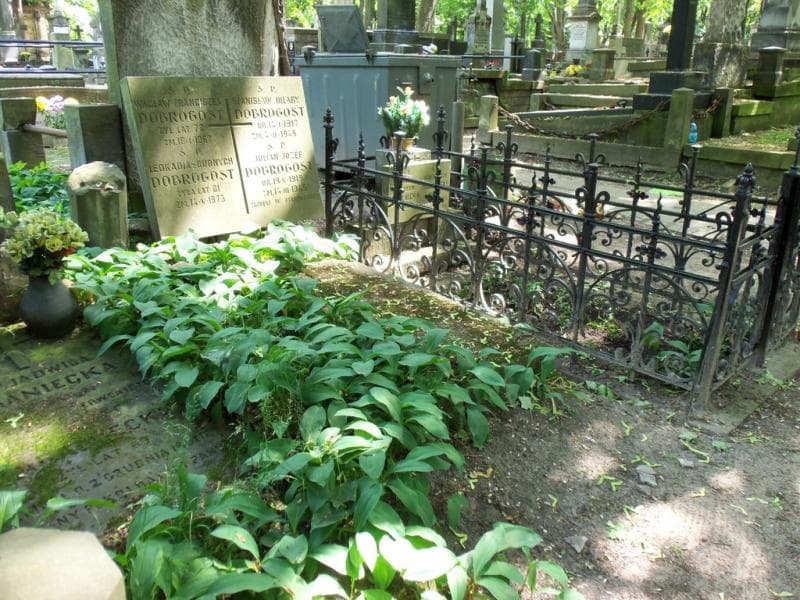Zdjęcie grobu Wacław Franciszek Dobrogost (1)