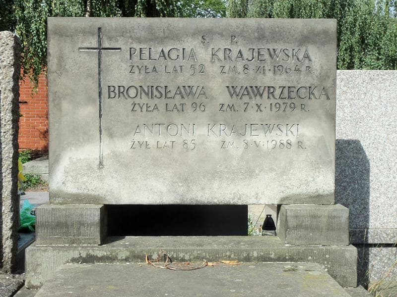 Zdjęcie grobu Antoni Krajewski (2)