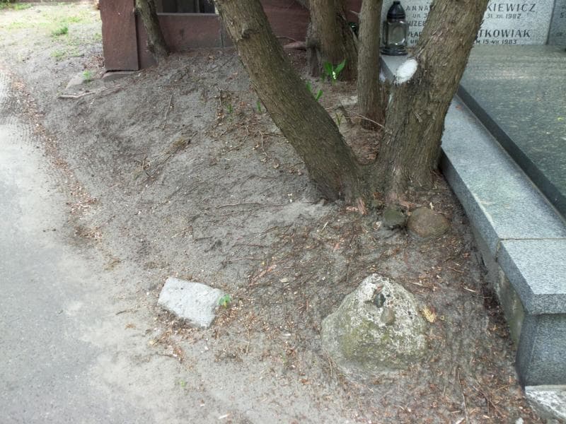 Zdjęcie grobu: Pole Grobowe
