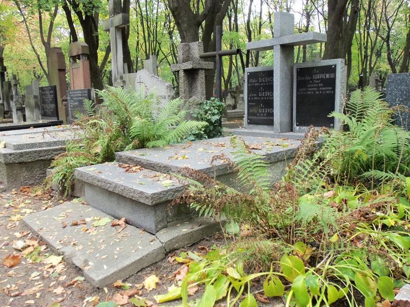 Zdjęcie grobu Stanisław Kurpiewski (1)