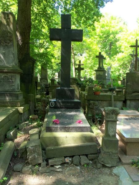 Zdjęcie grobu: Teofila Paszyńska