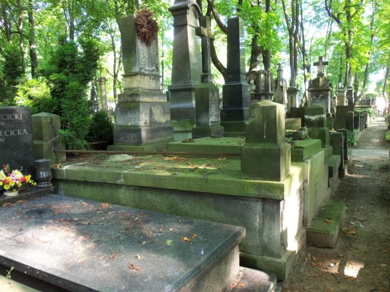 Zdjęcie grobu Franciszka Ulasińska (1)