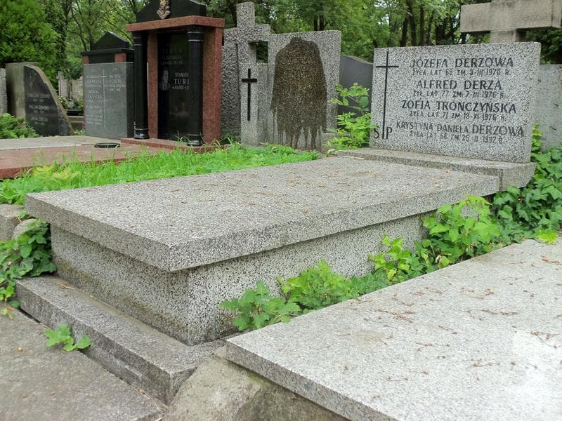 Zdjęcie grobu Wlfred Derza (1)