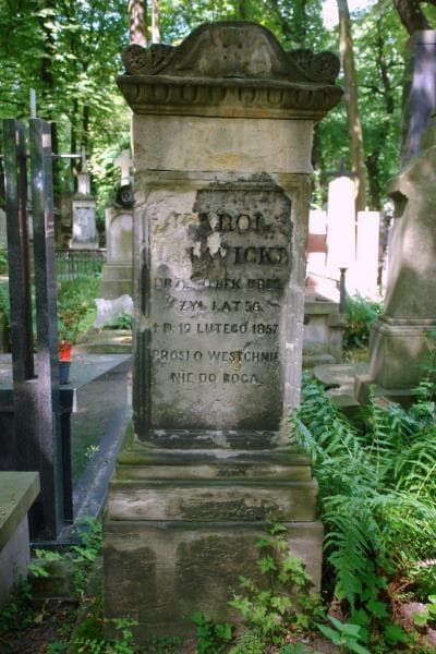 Zdjęcie grobu Karol Litwicki (2)