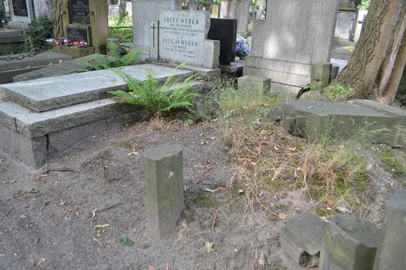 Zdjęcie grobu: Władysław Petrajtys