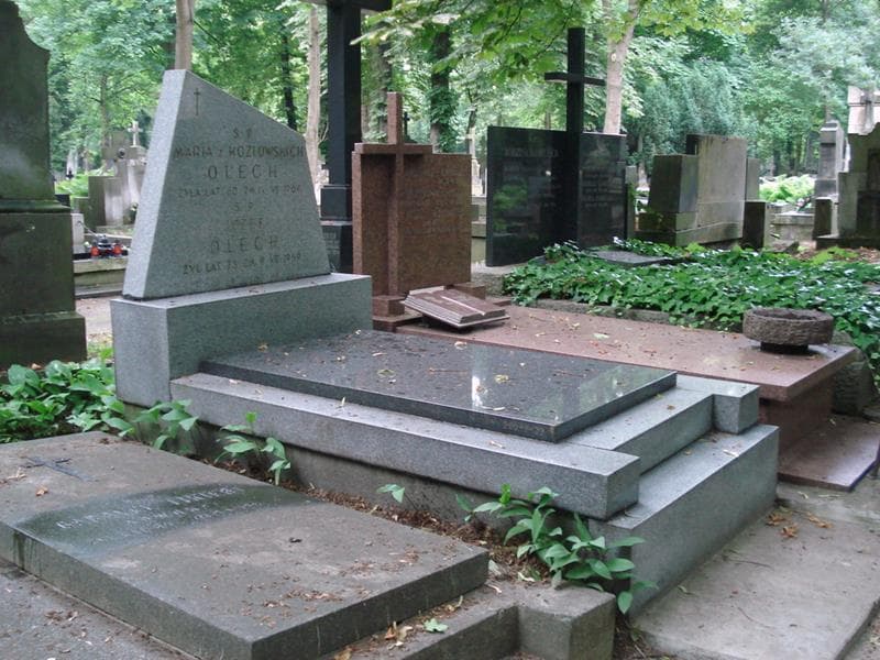 Zdjęcie grobu: Józef Olech