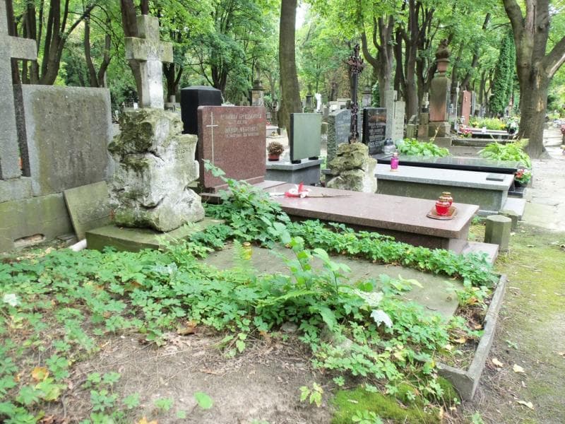 Zdjęcie grobu Feliks Michalski (1)