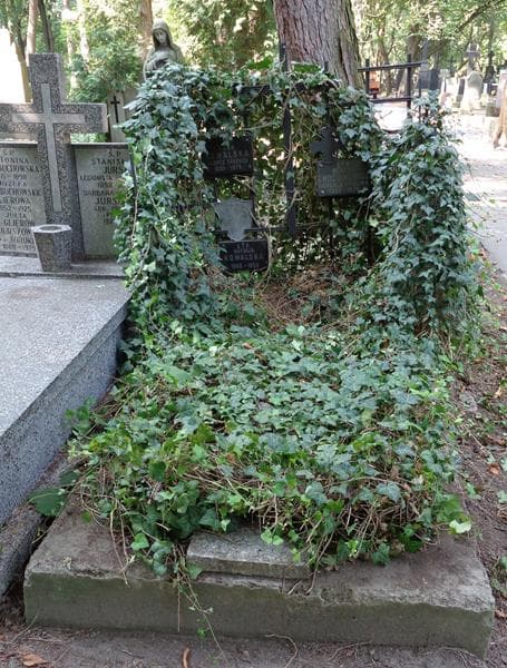 Zdjęcie grobu Henryk Chocianowicz (1)