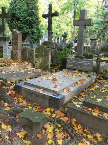 Zdjęcie grobu Zofia Olszowska (1)