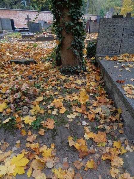 Zdjęcie grobu Octawie Fonchal... (1)