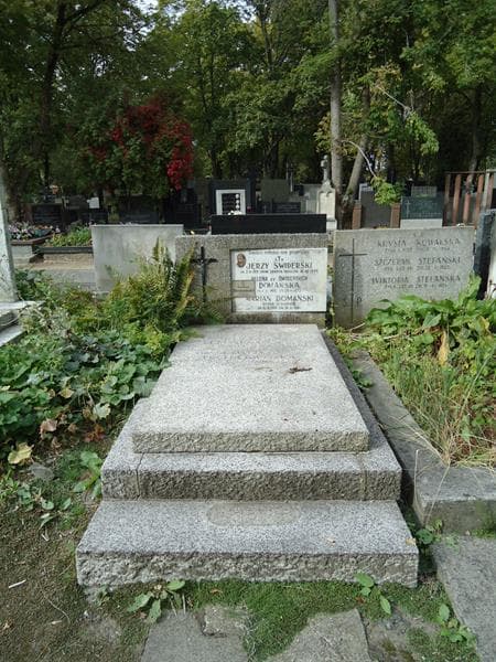 Zdjęcie grobu: Marian Domański