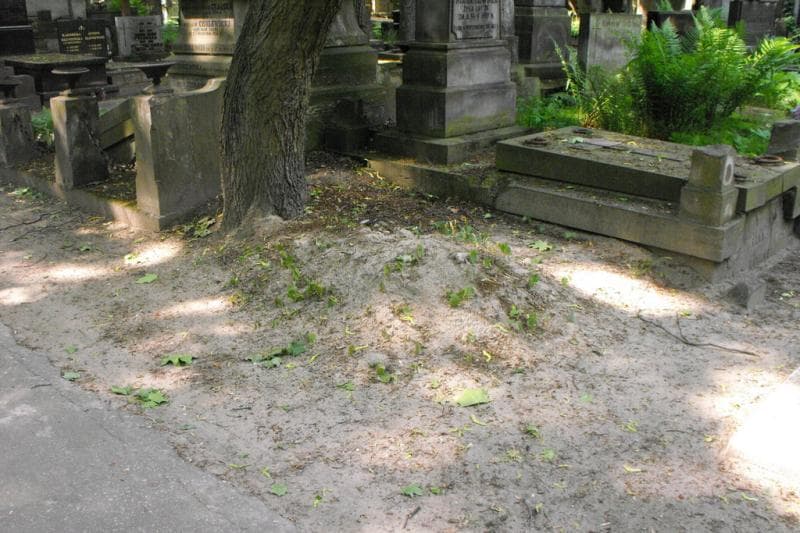 Zdjęcie grobu: Pole Grobowe