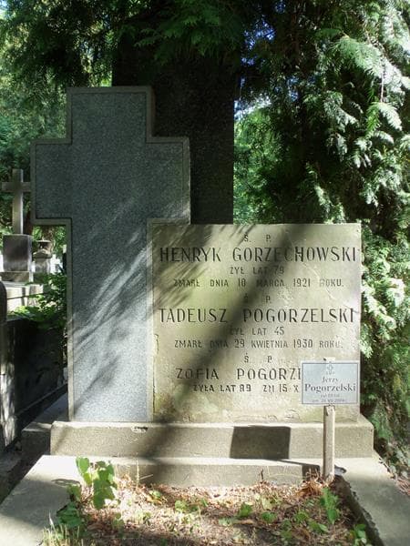 Zdjęcie grobu Henryk Gorzechowski (2)
