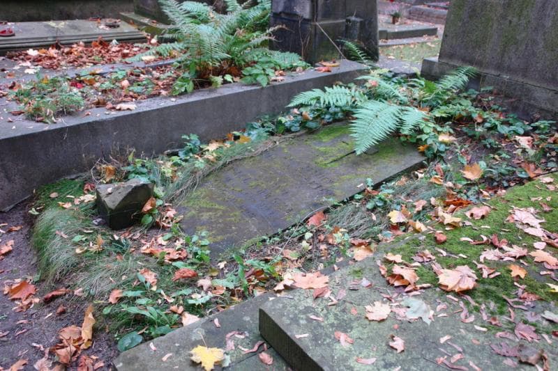 Zdjęcie grobu Apolonja Malinowska (1)