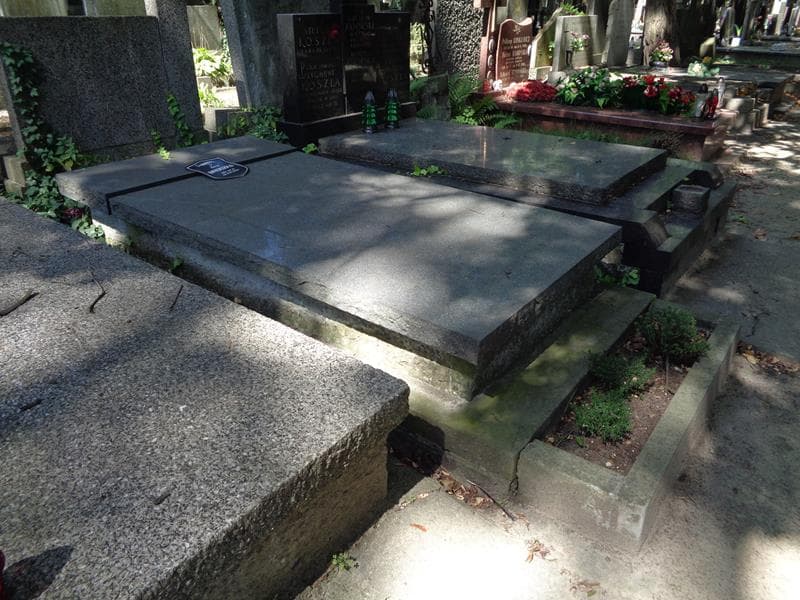 Zdjęcie grobu: Teresa Brodzka