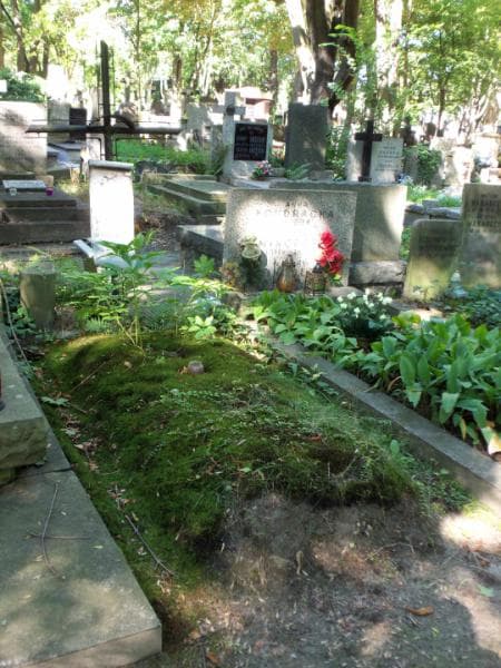 Zdjęcie grobu Aleksander Bakliński (1)