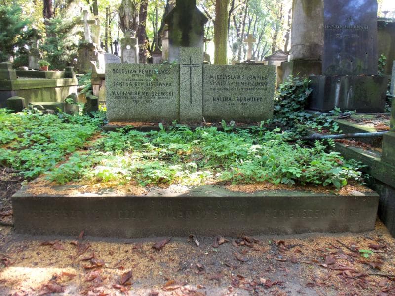 Zdjęcie grobu: Szerszonowiczowie Wilamowscy