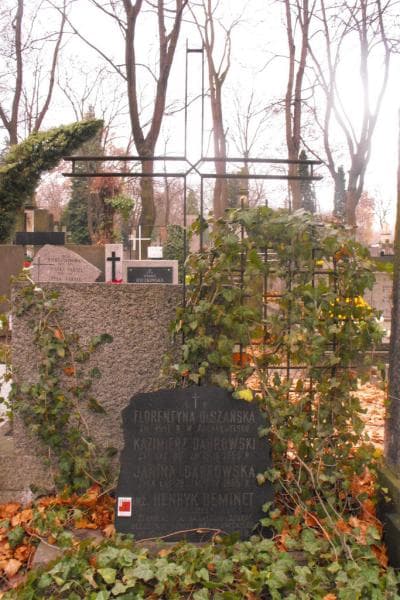 Zdjęcie grobu Henryk Deminet (2)